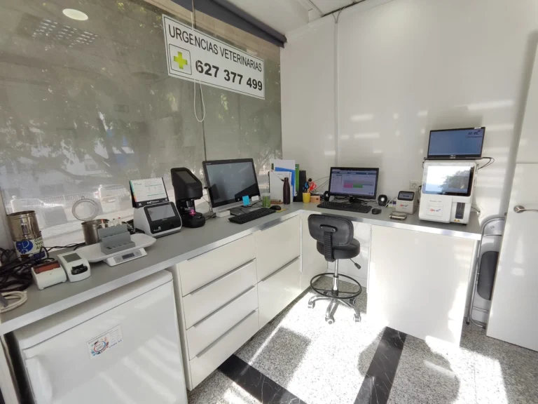 Laboratorio propio