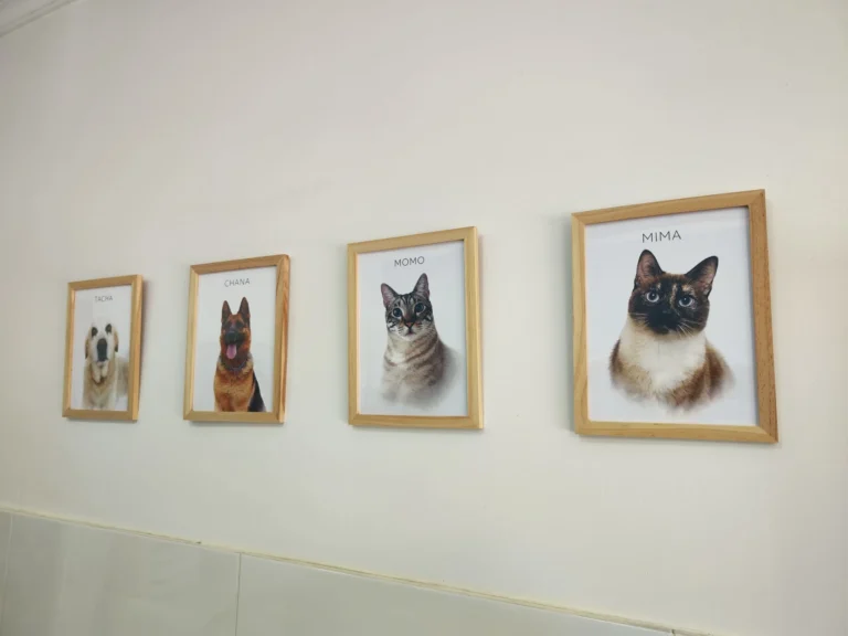 Nuestra familia peluda