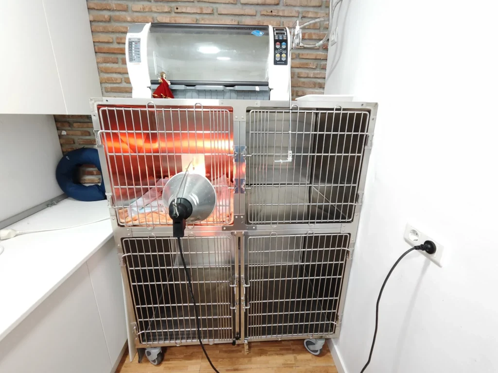 Hospitalización veterinaria en Marbella