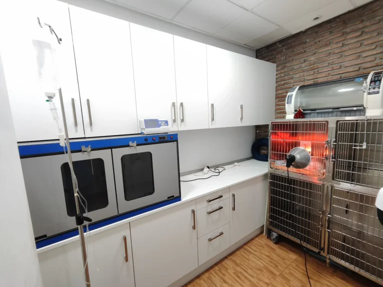 Hospitalización veterinaria en Marbella