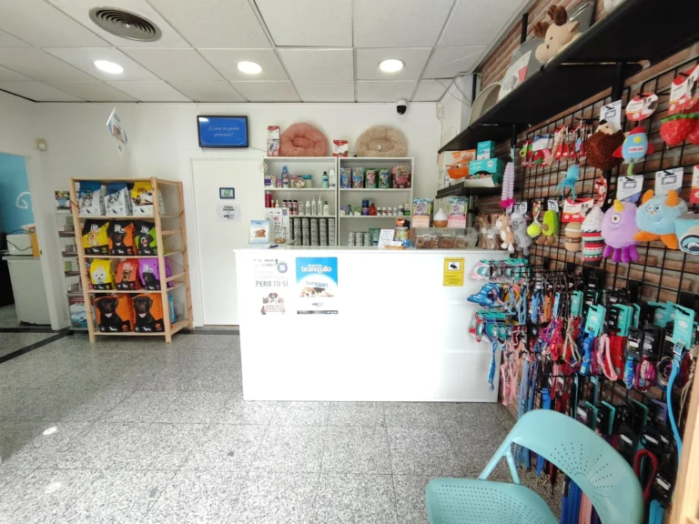 Recepción