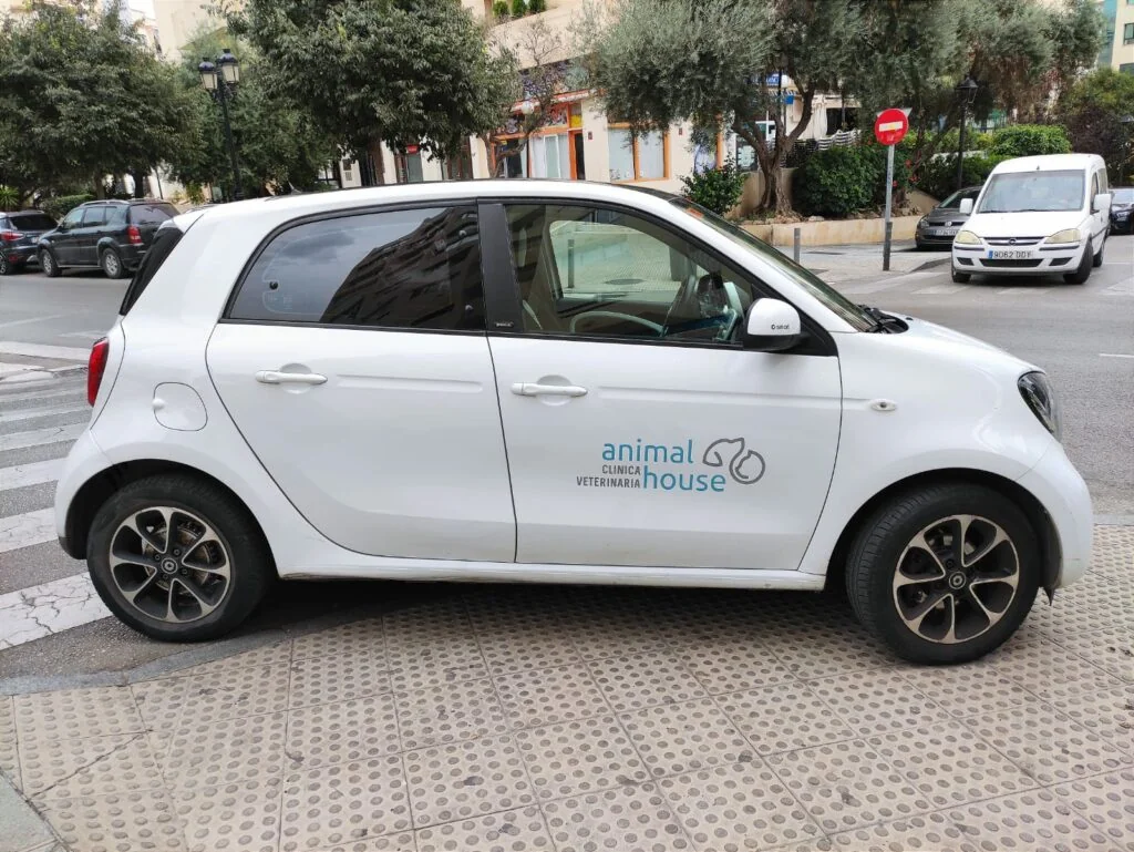 Nos desplazamos en Marbella para atender a tu mascota en casa